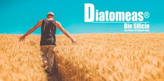 DIATOMEAS BIOSILICIO, como fertilizante y enmienda agrícola autorizado por el SAG