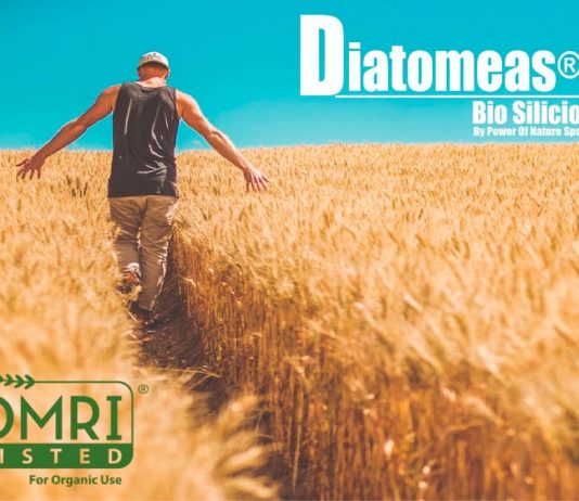 DIATOMEAS BIOSILICIO, como fertilizante y enmienda agrícola autorizado por el SAG