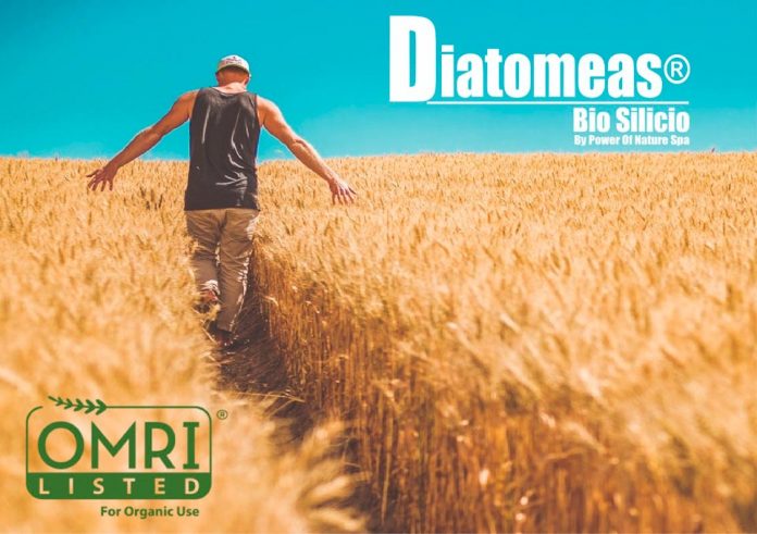 DIATOMEAS BIOSILICIO, como fertilizante y enmienda agrícola autorizado por el SAG