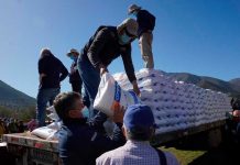 En petorca INDAP inicia la entrega de 440 toneladas de fertilizantes para pequeños agricultores