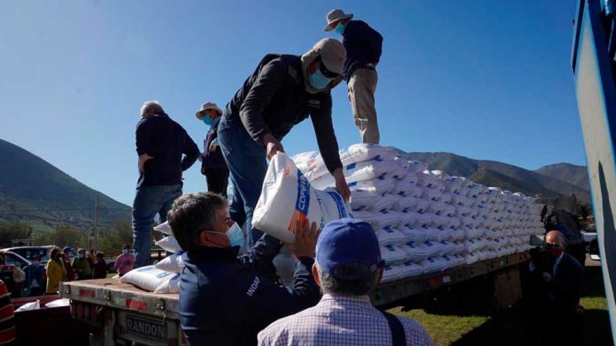 En petorca INDAP inicia la entrega de 440 toneladas de fertilizantes para pequeños agricultores