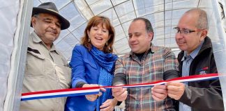 FIA lanza Convocatoria Nacional de Innovación