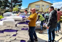 INDAP Biobío continúa entrega de fertilizantes a pequeños agricultores de Arauco