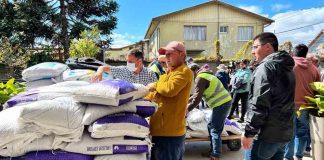 INDAP Biobío continúa entrega de fertilizantes a pequeños agricultores de Arauco