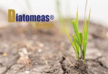 Informe Técnico: DIATOMEAS BIOSILICIO en Programas de Suelos Degradados