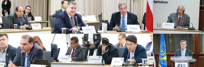 La COP 27 dará oportunidad a agricultura de las Américas de mostrar su sostenibilidad