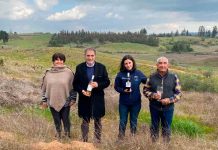 Minagri pone en marcha seguro agrícola para proteger a más de 500 pequeños viñateros de Biobío 
