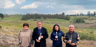 Minagri pone en marcha seguro agrícola para proteger a más de 500 pequeños viñateros de Biobío 