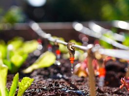 Ministerio de Agricultura ingresa indicación sustitutiva a proyecto de modificación de Ley de Riego