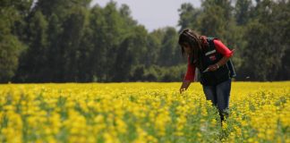 Programa SAG Certificación Varietal de Semillas