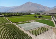 conversatorio sobre recursos hídricos y agricultura en La Serena