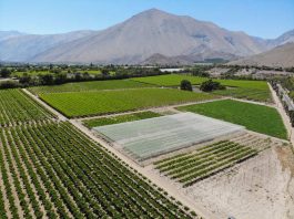 conversatorio sobre recursos hídricos y agricultura en La Serena
