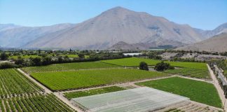 conversatorio sobre recursos hídricos y agricultura en La Serena