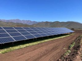 CNR invita a participar en seminarios y charlas de la Expo Chile Agrícola 2022