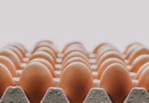 DÍA MUNDIAL DEL HUEVO