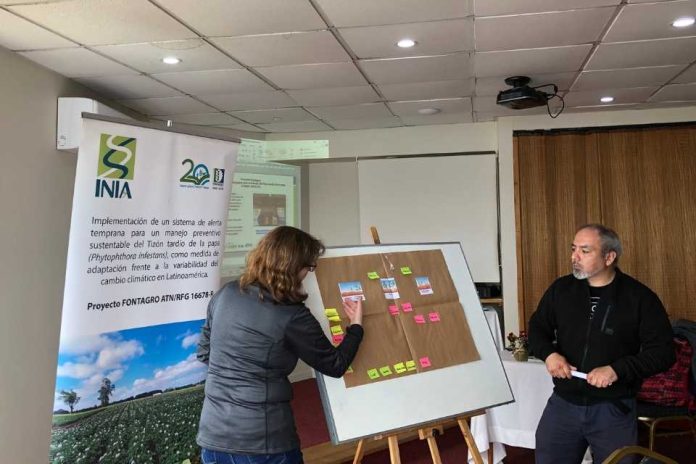 Especialistas de INIA Remehue realizan taller sobre manejo integrado de tizón tardío de la papa en Chiloé