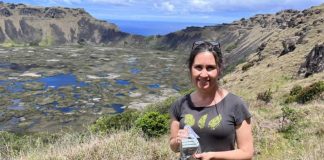 Importantes avances en la recuperación del árbol toromiro en Rapa Nui
