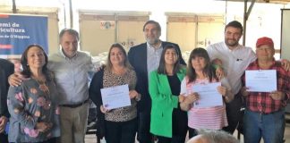 productores de tabaco de la zona central afectados por heladas
