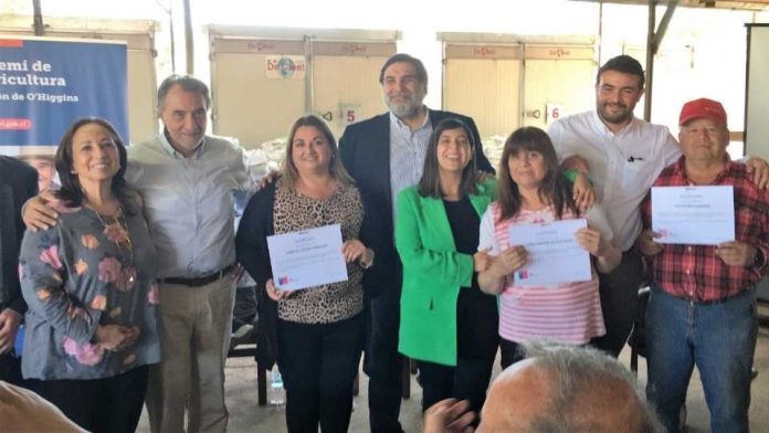 productores de tabaco de la zona central afectados por heladas
