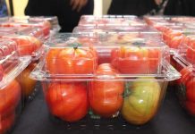 Qué sabemos sobre los tomates del país
