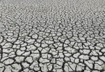 Súmate a la Acción Climática