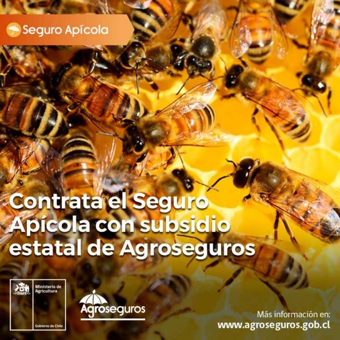 seguro con subsidio estatal de Agroseguros para proteger colmenas y abejas