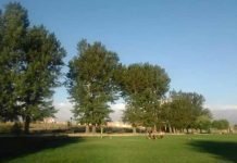 Alianza entre Corporación Cultiva y Rushters ® permitirá reapertura del Parque San Luis Orione de Cerrillos