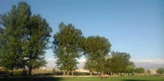 Alianza entre Corporación Cultiva y Rushters ® permitirá reapertura del Parque San Luis Orione de Cerrillos