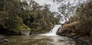 Amazon Web Services anuncia que devolverá más agua de la que usa