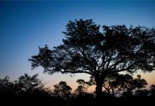 Cerrar la brecha de datos climáticos en los países en vías de desarrollo