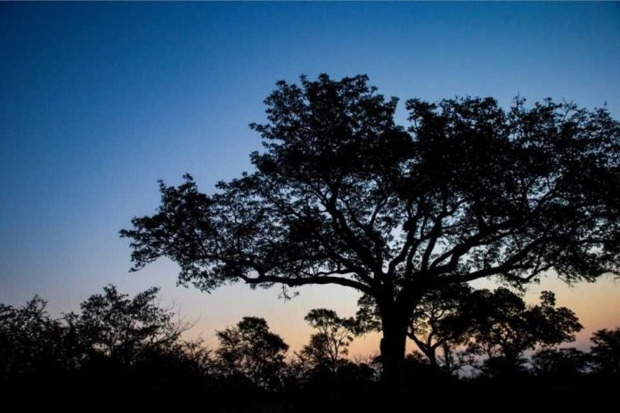 Cerrar la brecha de datos climáticos en los países en vías de desarrollo