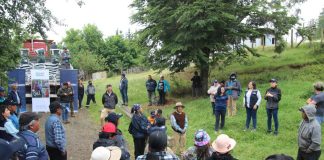 Cooprinsem participa de la entrega de fertilizantes para agricultores de la provincia de Osorno