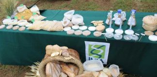 Desafíos del país en seguridad y soberanía alimentaria tratarán especialistas en seminario de INIA en Chillán