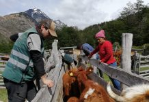 Funcionarios del Ministerio de Agricultura realizaron labores de apoyo para productores del Sector El Avellano