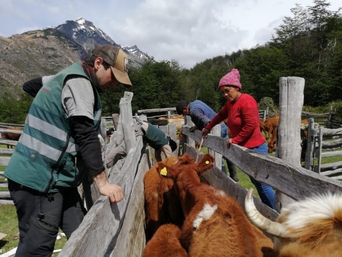 Funcionarios del Ministerio de Agricultura realizaron labores de apoyo para productores del Sector El Avellano