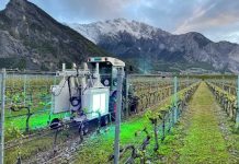 Innovaciones sustentables para la industria del vino