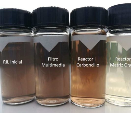 Investigadores chilenos convierten carboncillo en un efectivo material para el tratamiento de aguas residuales