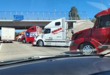 Paro de camioneros pone en jaque el transporte de 25 mil toneladas de cereza