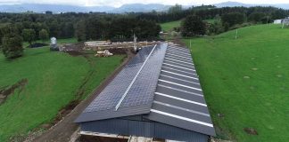 Planta solar fotovoltaica permite optimizar energía para diferentes sistemas agrícolas