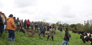 Productores conocen resultados de progenie y bienestar animal en terreno