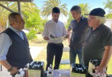 Productores de la Región Metropolitana afectados por nematodo de la frutilla reciben recursos para insumos y capacitación en control sustentable de la plaga.