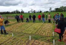 Profesores de liceos técnicos finalizan curso de 2 años sobre agroecología