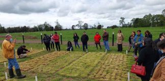 Profesores de liceos técnicos finalizan curso de 2 años sobre agroecología