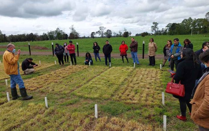 Profesores de liceos técnicos finalizan curso de 2 años sobre agroecología