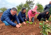 Proyecto INIA en Cañete incrementa actividades agrícolas junto a instituciones locales