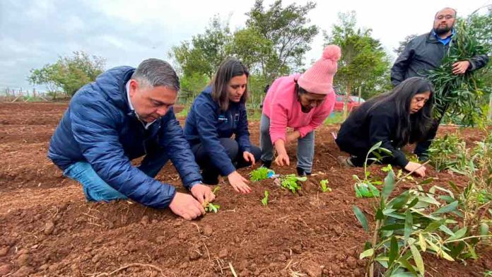 Proyecto INIA en Cañete incrementa actividades agrícolas junto a instituciones locales