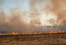 Sistema avanzado de vigilancia forestal y lucha contra el fuego