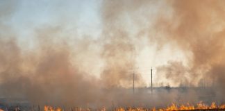 Sistema avanzado de vigilancia forestal y lucha contra el fuego