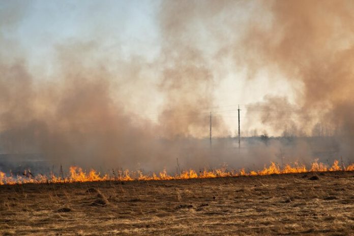 Sistema avanzado de vigilancia forestal y lucha contra el fuego
