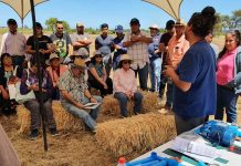 Tradicional “Día de Campo” reúne a más de 100 agricultores en INIA Hidango